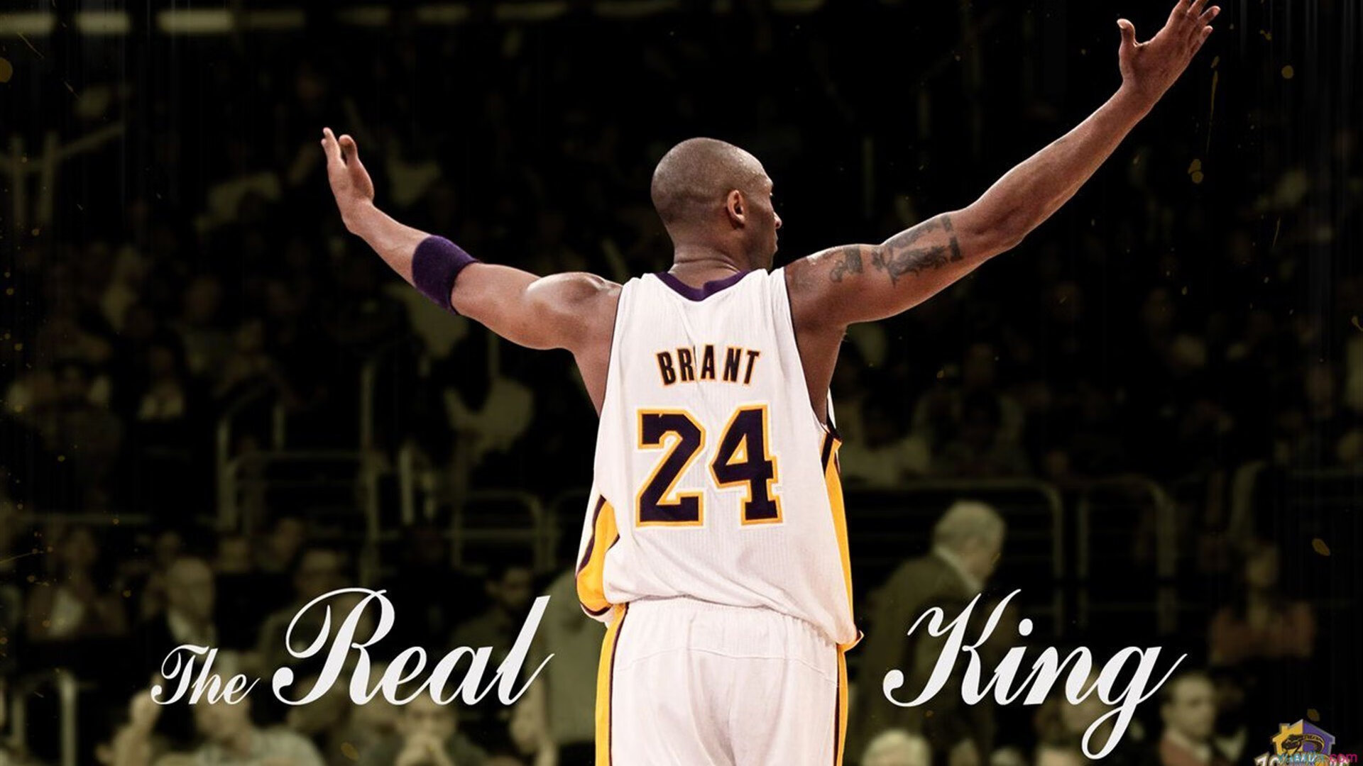 命中率全联盟最高的球队盘点，命中率最高的nba球员